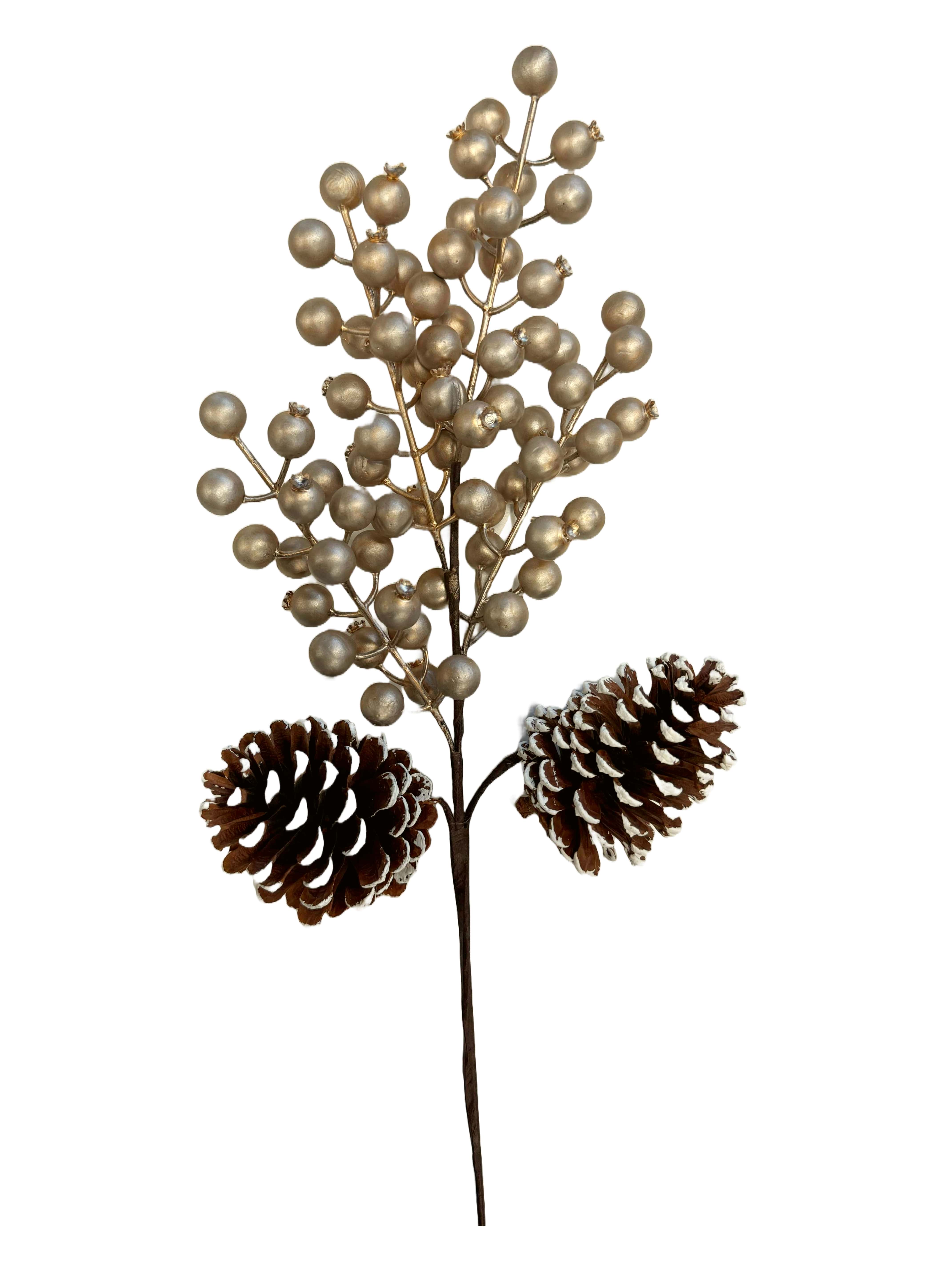 CHR 024083