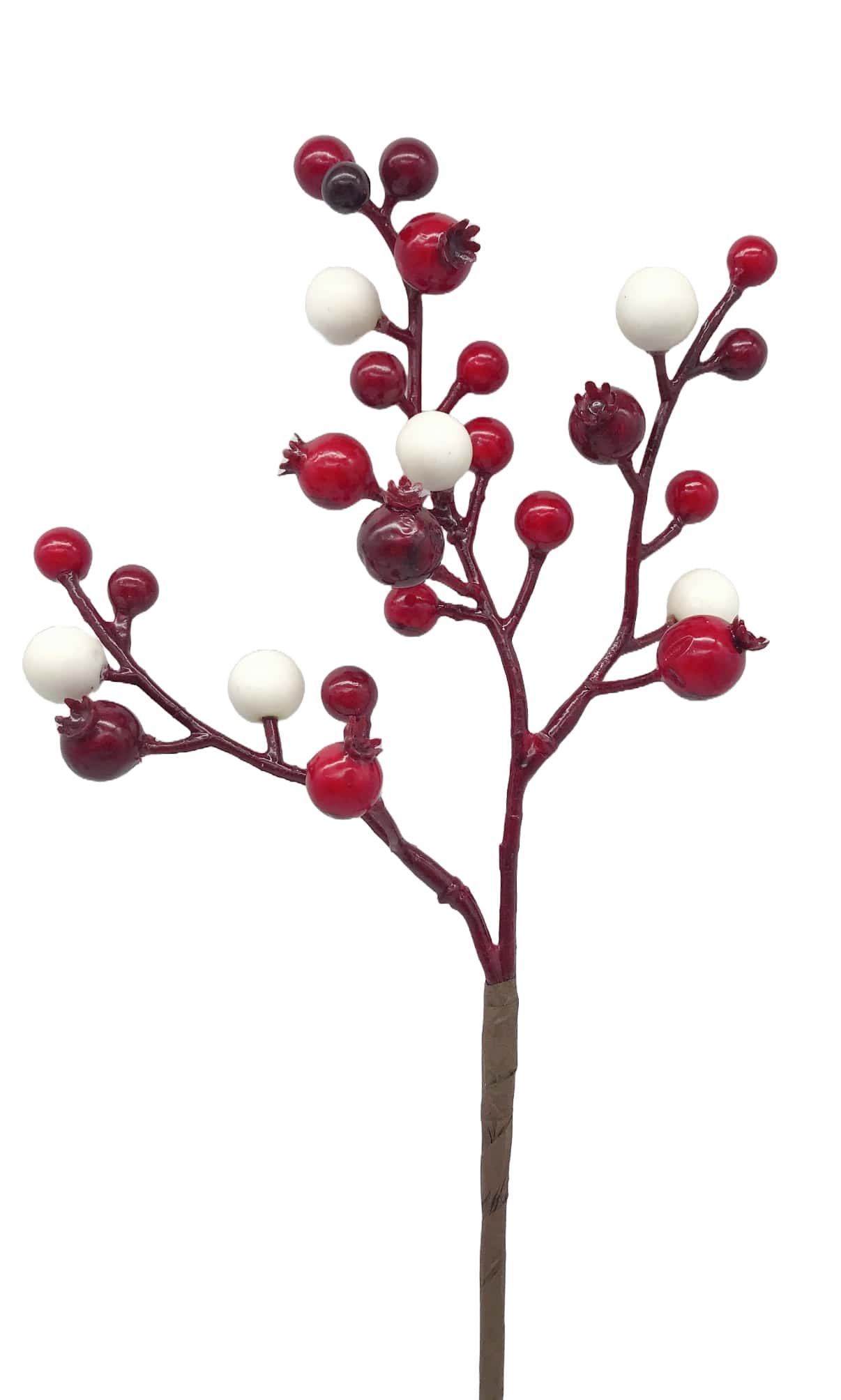 CHR 024087