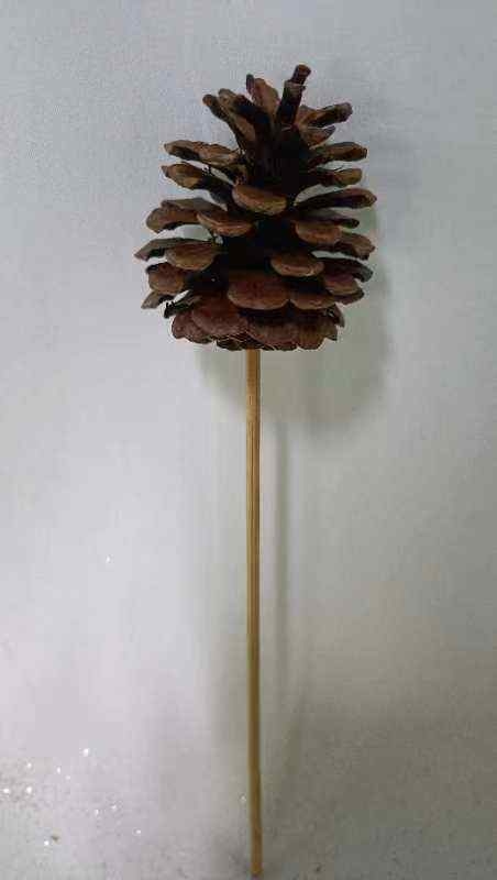 8039 Austrica natural 6inch wood stick