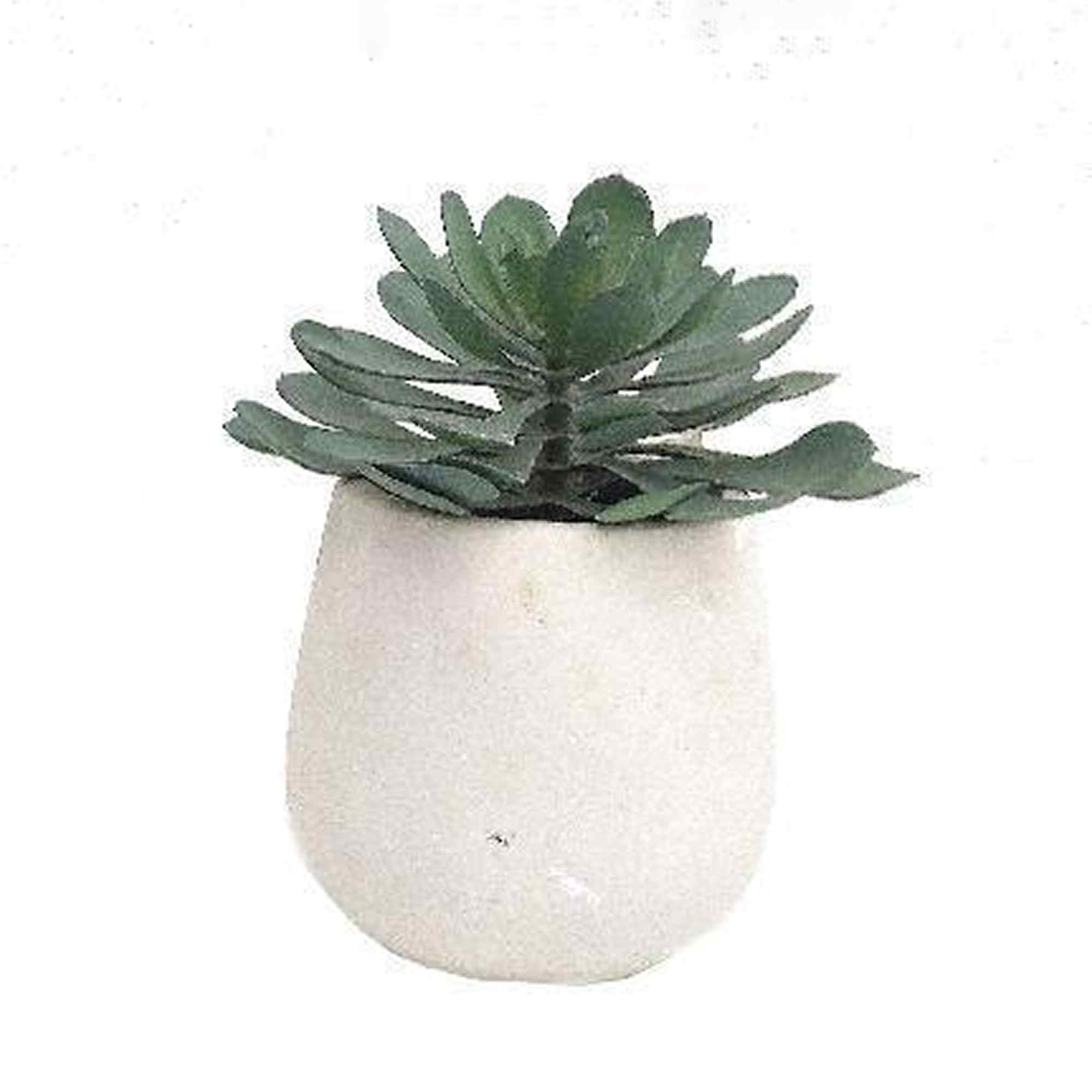 2284