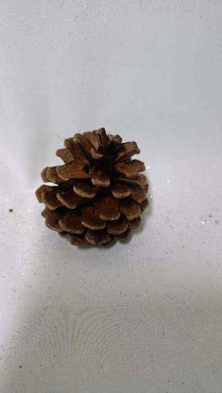 8003 Austrica natural