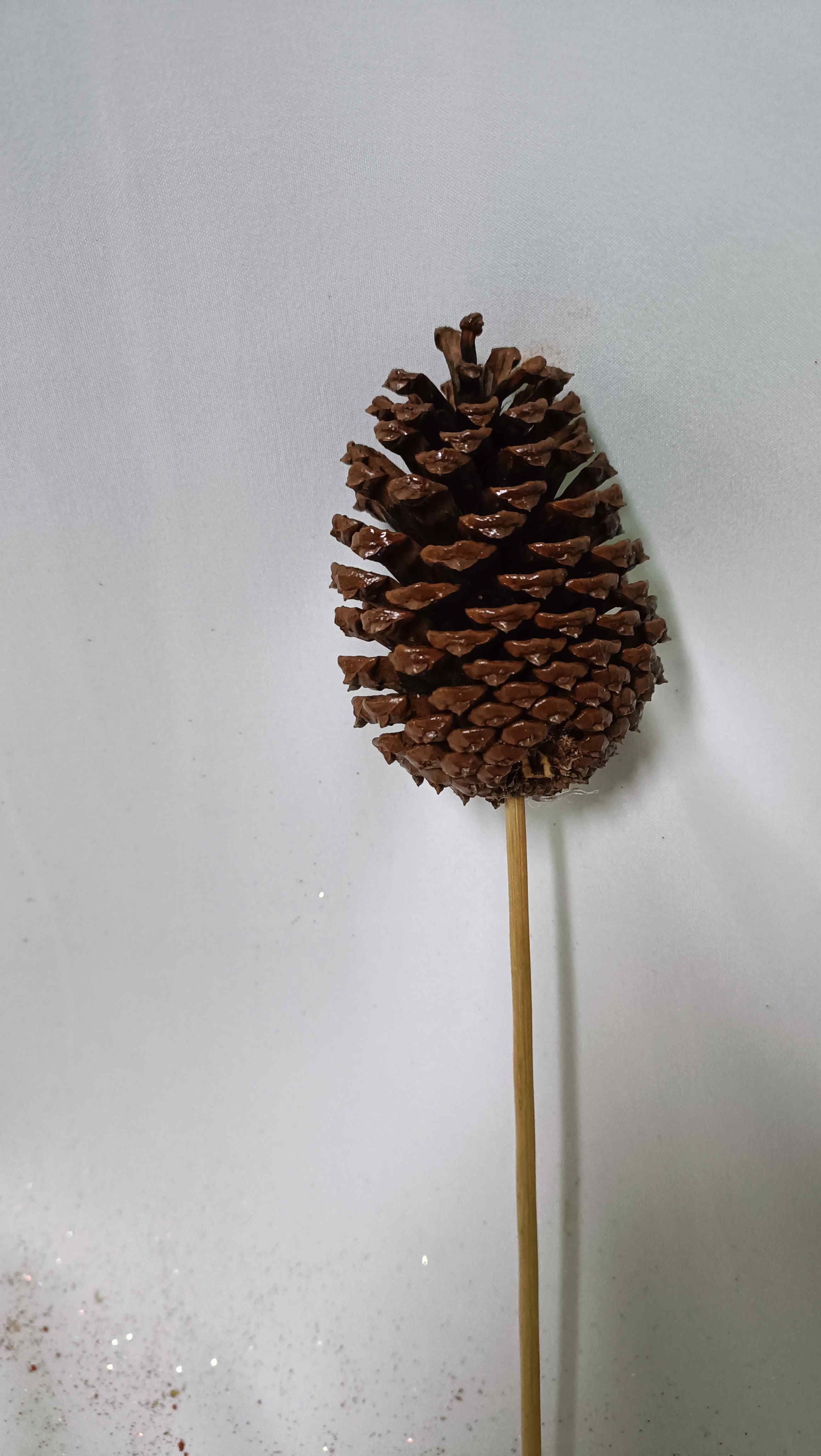 8048 Jersey natural 6inch wood stick