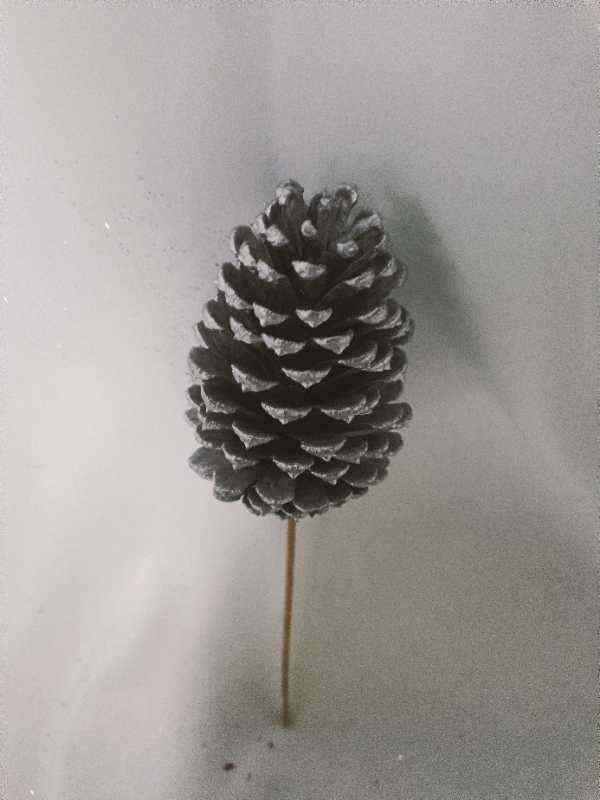 8054 Slash silver 6inch wood stick