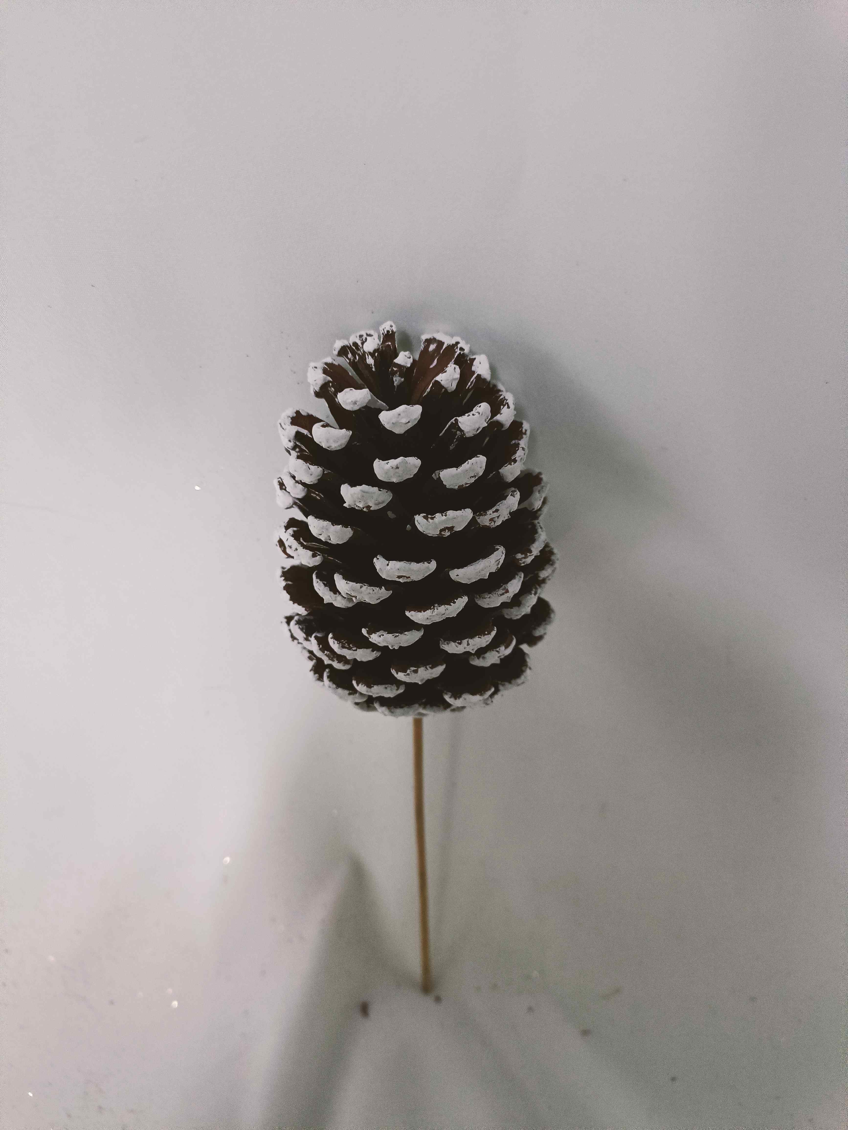 8055 Slash frosted 6inch wood stick