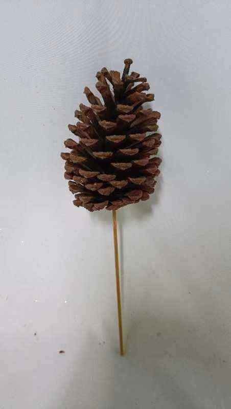 8056 Slash natural 6inch wood stick